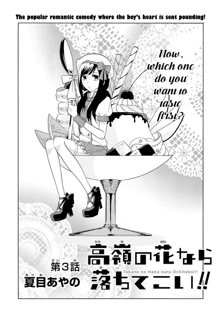 Takane no Hana Nara Ochitekoi!! Chapter 3 page 5 - Chapter 3