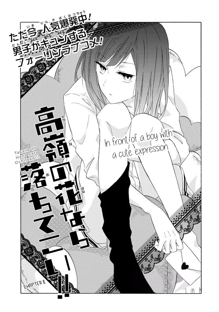 Takane no Hana Nara Ochitekoi!! Chapter 8 page 1 - Chapter 8