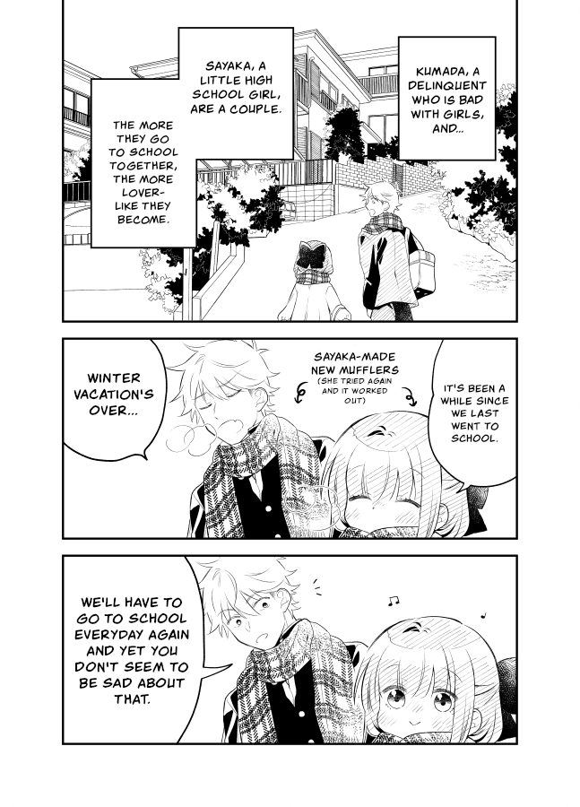Tale of a Girl and a Delinquent Who's Bad with Women Chapter 23 page 9 - Chapter 23