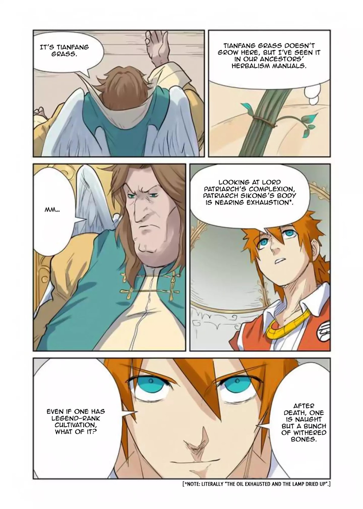 Tales of Demons and Gods Chapter 153.5 page 11 - Chapter 153.5: The Silverwing Family (2)