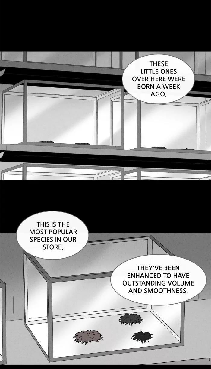 Tales of the unusual Chapter 135 page 2 - Chapter 135: Ep.135: The Pet Wig - Part 1
