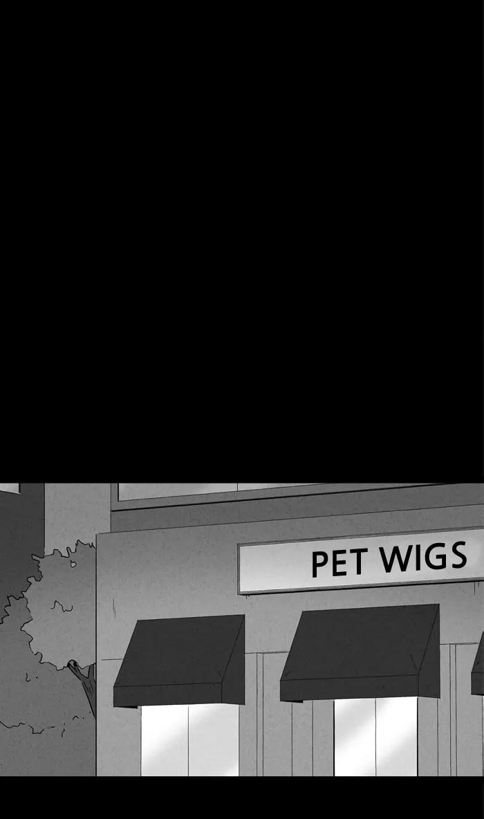 Tales of the unusual Chapter 137 page 15 - Chapter 137: Ep.137: The Pet Wig - Part 3