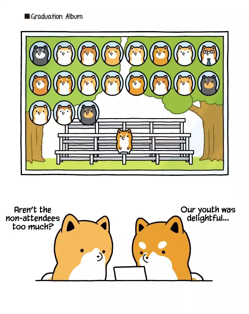 Taru Shiba Chapter 2 page 15 - Chapter 2: School