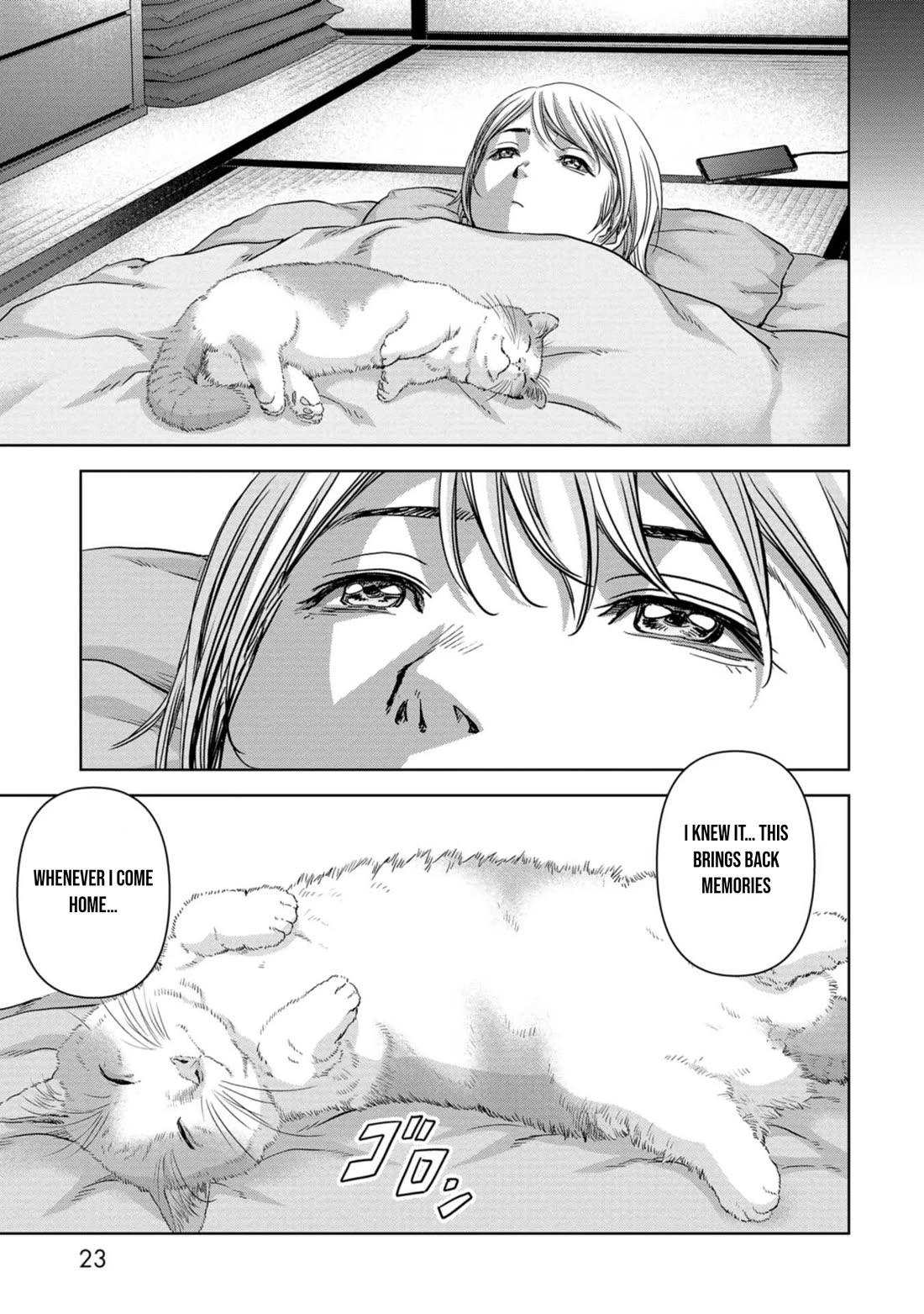 Task Force for Paranormal Disaster Management Chapter 31 page 26 - Chapter 31: Hiruko Attack