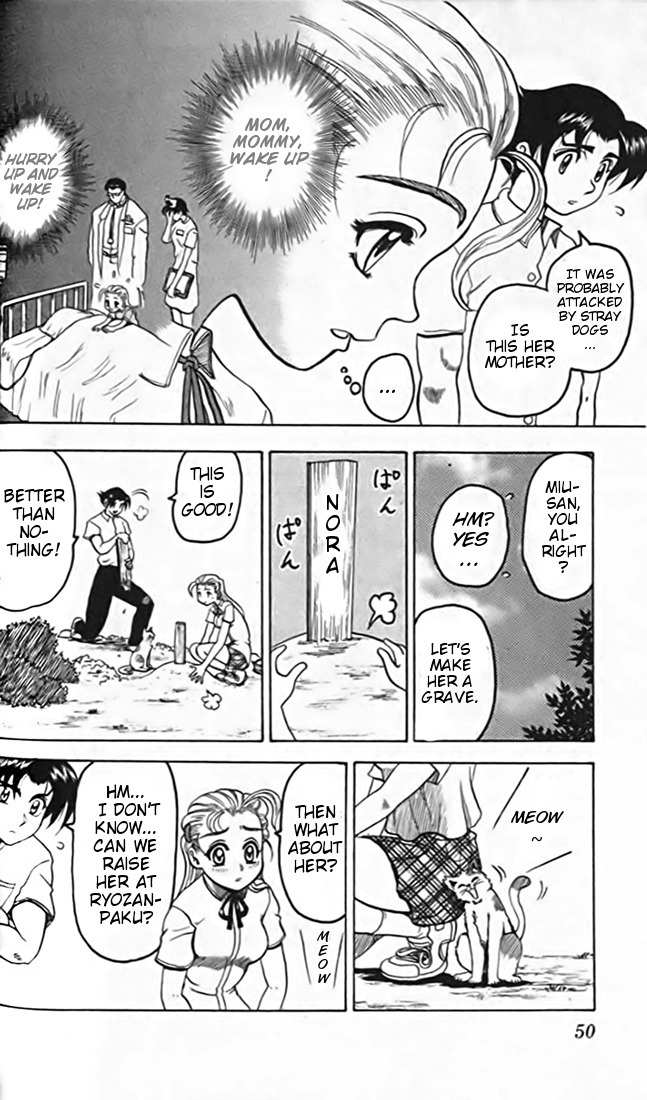 Tatakae! Ryouzanpaku Shijou Saikyou no Deshi Chapter 13 page 8 - Chapter 13: Cat Love!