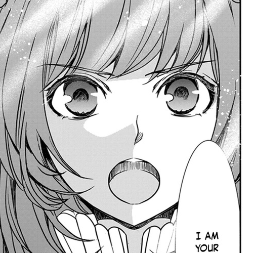 Tate no Yuusha no Nariagari ~ Girl's Side Story Chapter 12: Calamity cover