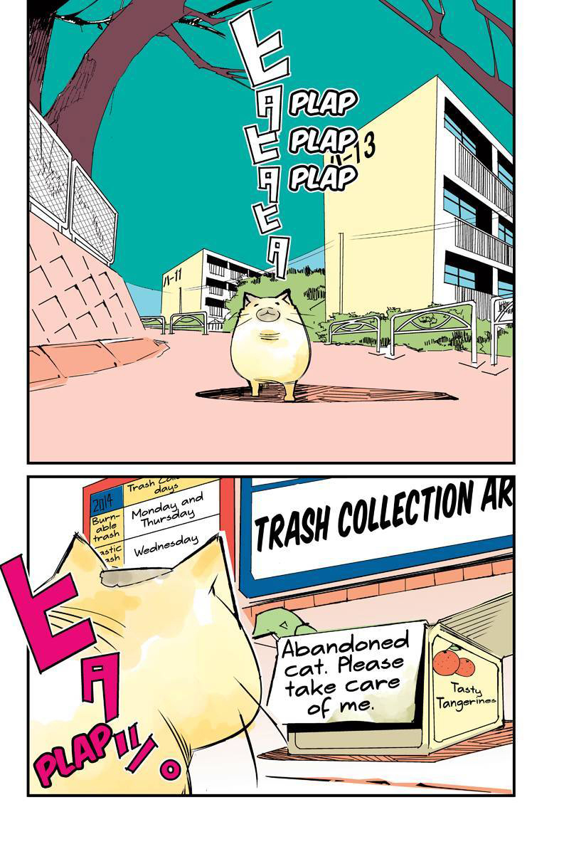 Tawara Neko to Machigai Jinsei Chapter 1 page 2 - Chapter 1