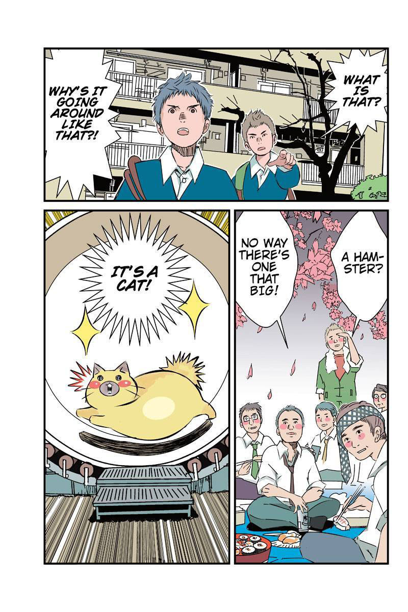 Tawara Neko to Machigai Jinsei Chapter 12 page 15 - Chapter 12: Tawara's Diet-Go-Round