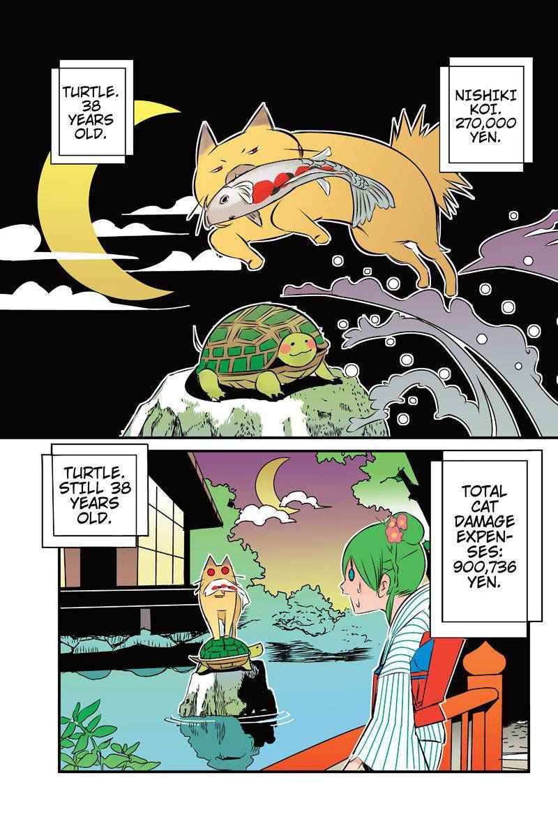 Tawara Neko to Machigai Jinsei Chapter 15 page 9 - Chapter 15: Tawara Acting on His Whims as Usual, Does Not Lay One Claw on the Turtle
