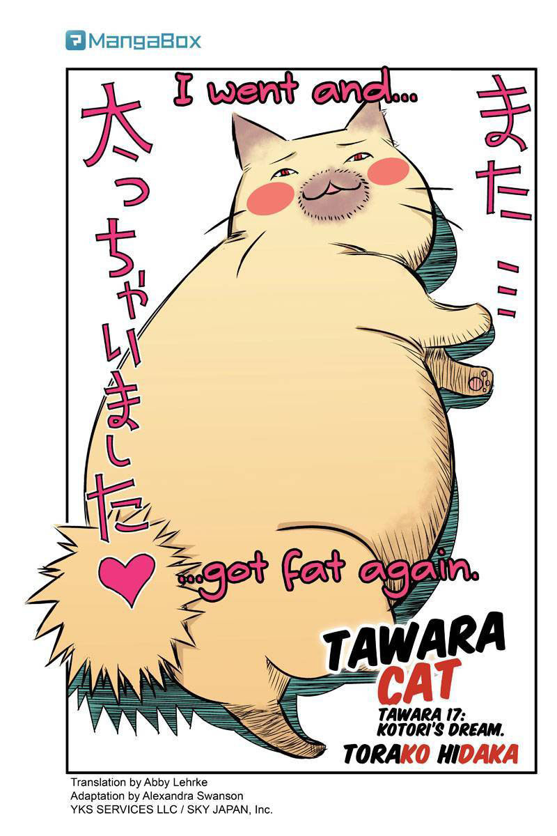 Tawara Neko to Machigai Jinsei Chapter 17 page 1 - Chapter 17: Kotori's Dream