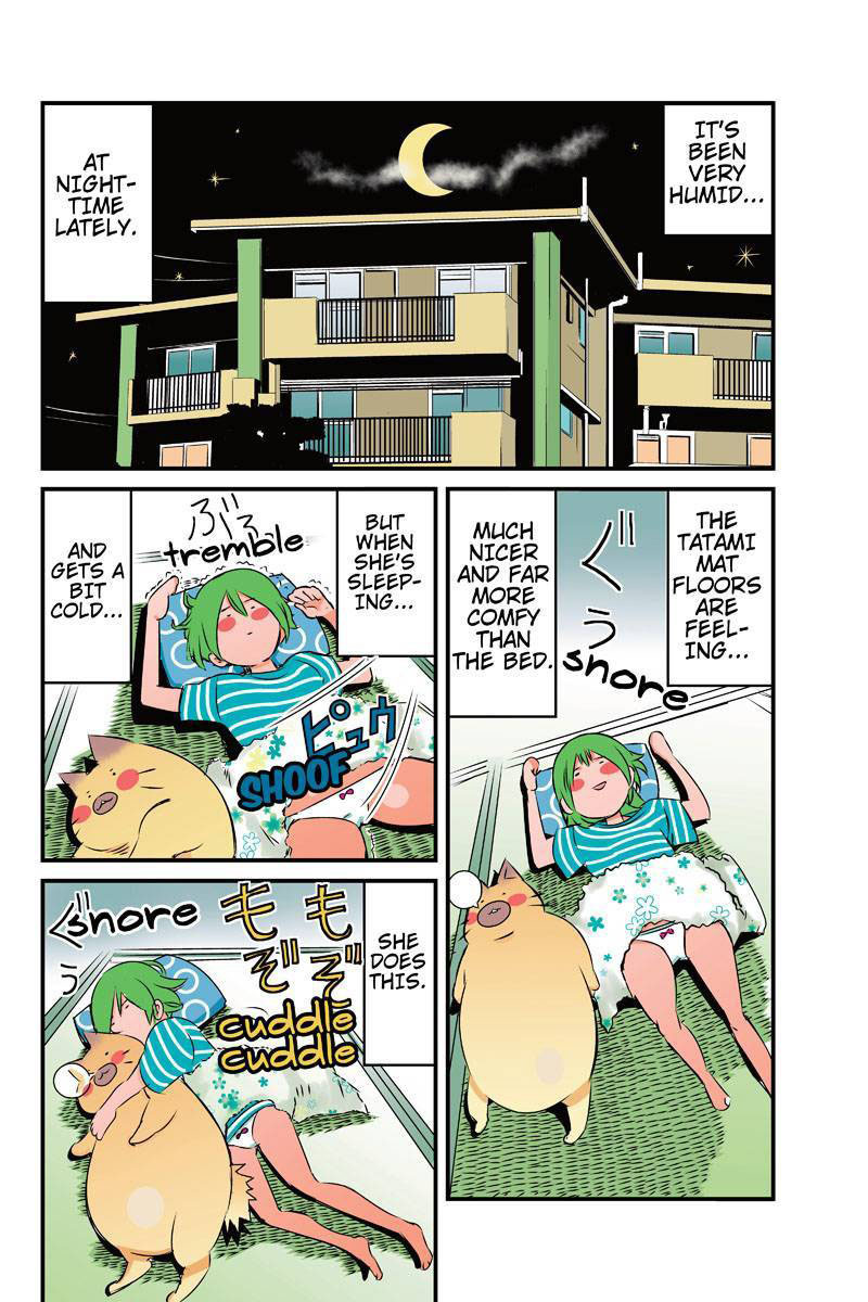 Tawara Neko to Machigai Jinsei Chapter 17 page 2 - Chapter 17: Kotori's Dream