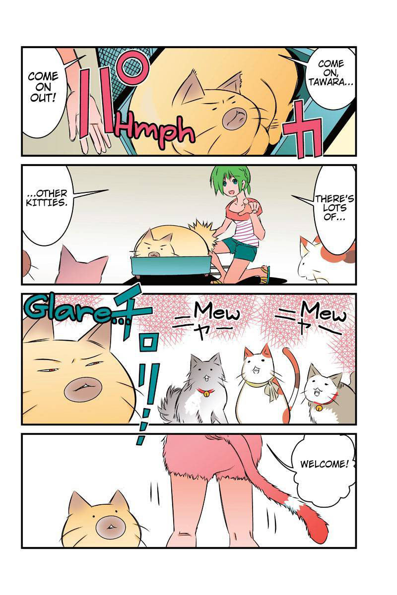 Tawara Neko to Machigai Jinsei Chapter 18 page 12 - Chapter 18: Kotori's Bolt from the Blue