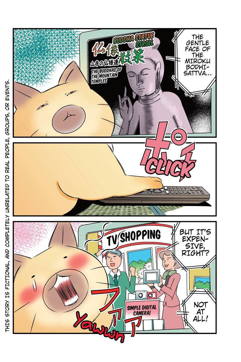 Tawara Neko to Machigai Jinsei Chapter 18 page 2 - Chapter 18: Kotori's Bolt from the Blue