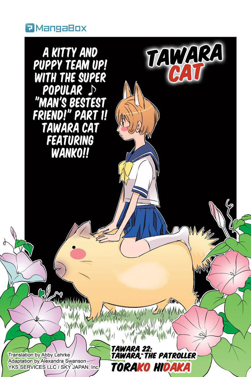 Tawara Neko to Machigai Jinsei Chapter 22 page 1 - Chapter 22: Tawara, The Patroller