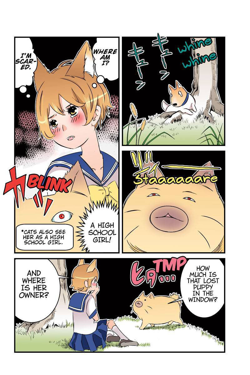 Tawara Neko to Machigai Jinsei Chapter 22 page 8 - Chapter 22: Tawara, The Patroller