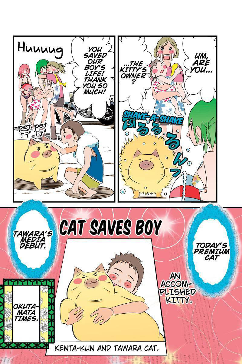 Tawara Neko to Machigai Jinsei Chapter 23 page 18 - Chapter 23: Tawara's Achivement