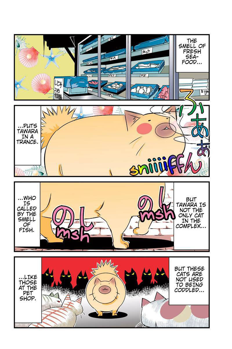 Tawara Neko to Machigai Jinsei Chapter 24 page 10 - Chapter 24: Tawara's Dealy Life