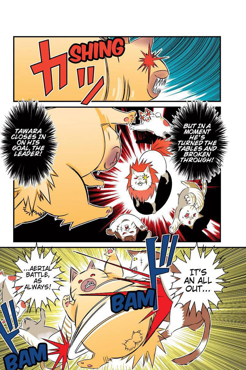 Tawara Neko to Machigai Jinsei Chapter 24 page 12 - Chapter 24: Tawara's Dealy Life