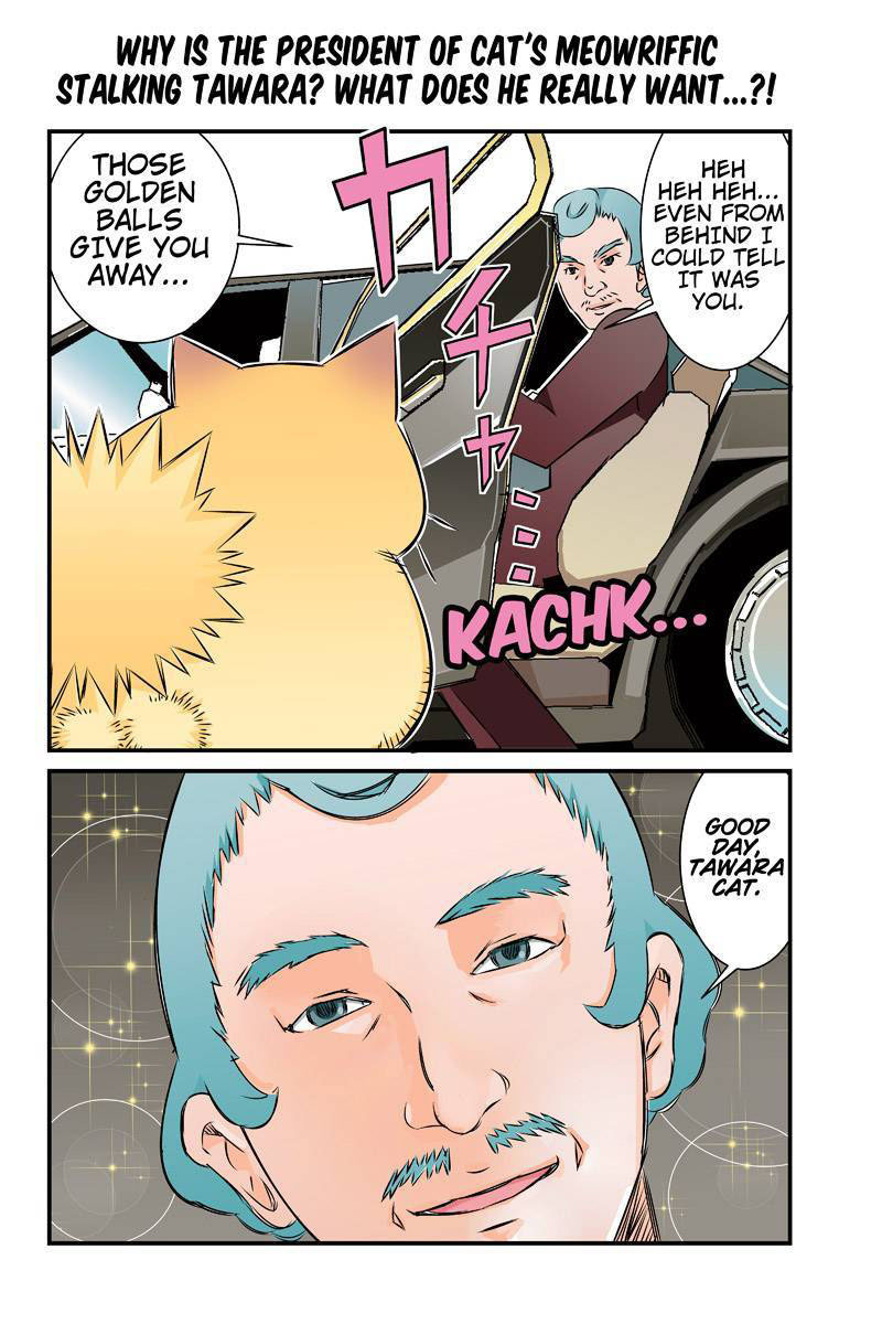 Tawara Neko to Machigai Jinsei Chapter 24 page 16 - Chapter 24: Tawara's Dealy Life