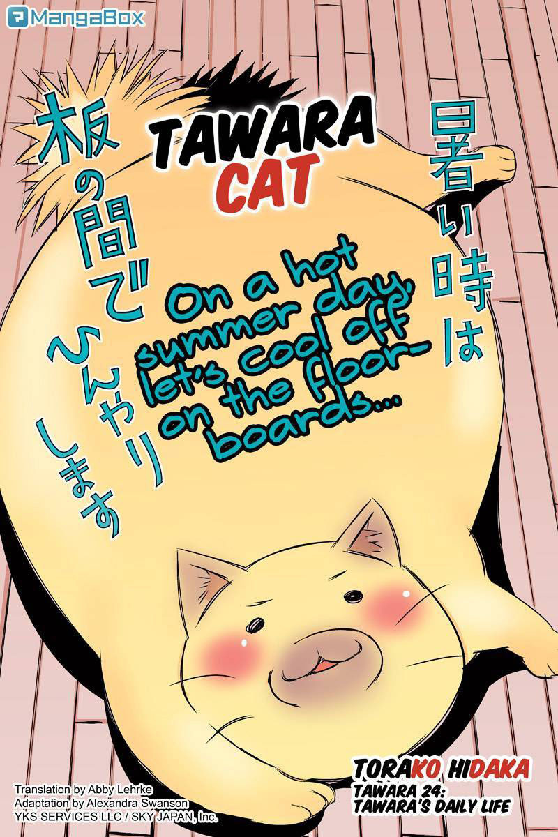 Tawara Neko to Machigai Jinsei Chapter 24 page 2 - Chapter 24: Tawara's Dealy Life
