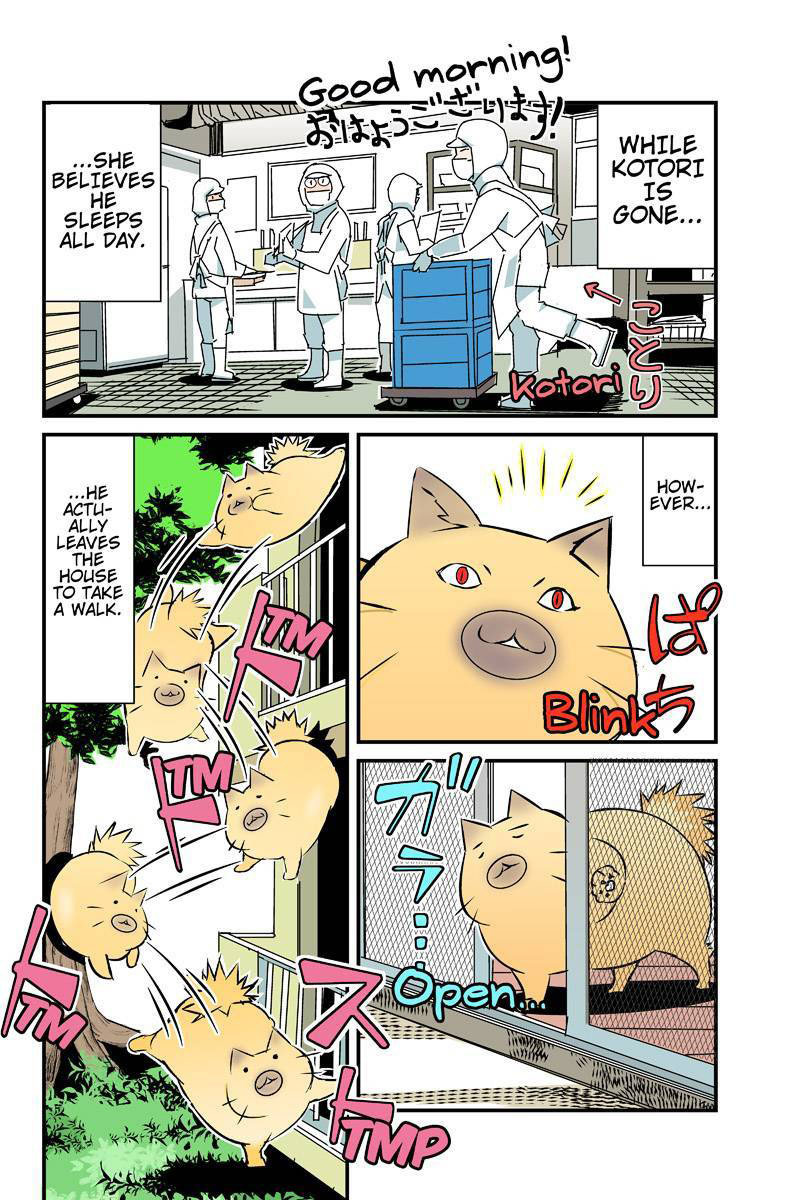 Tawara Neko to Machigai Jinsei Chapter 24 page 4 - Chapter 24: Tawara's Dealy Life
