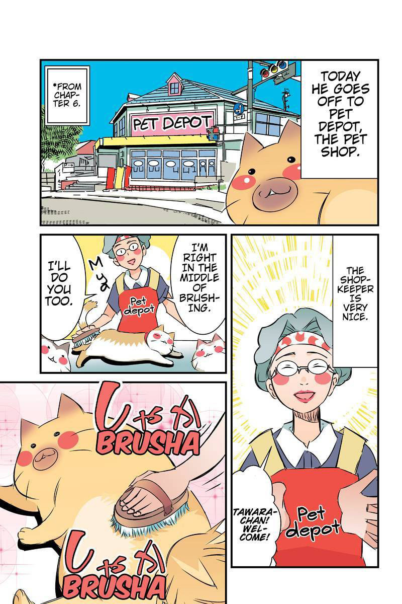 Tawara Neko to Machigai Jinsei Chapter 24 page 5 - Chapter 24: Tawara's Dealy Life