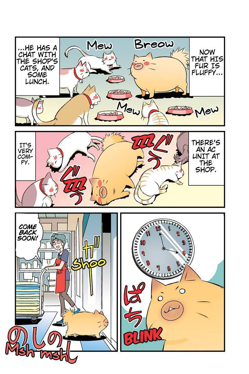 Tawara Neko to Machigai Jinsei Chapter 24 page 6 - Chapter 24: Tawara's Dealy Life