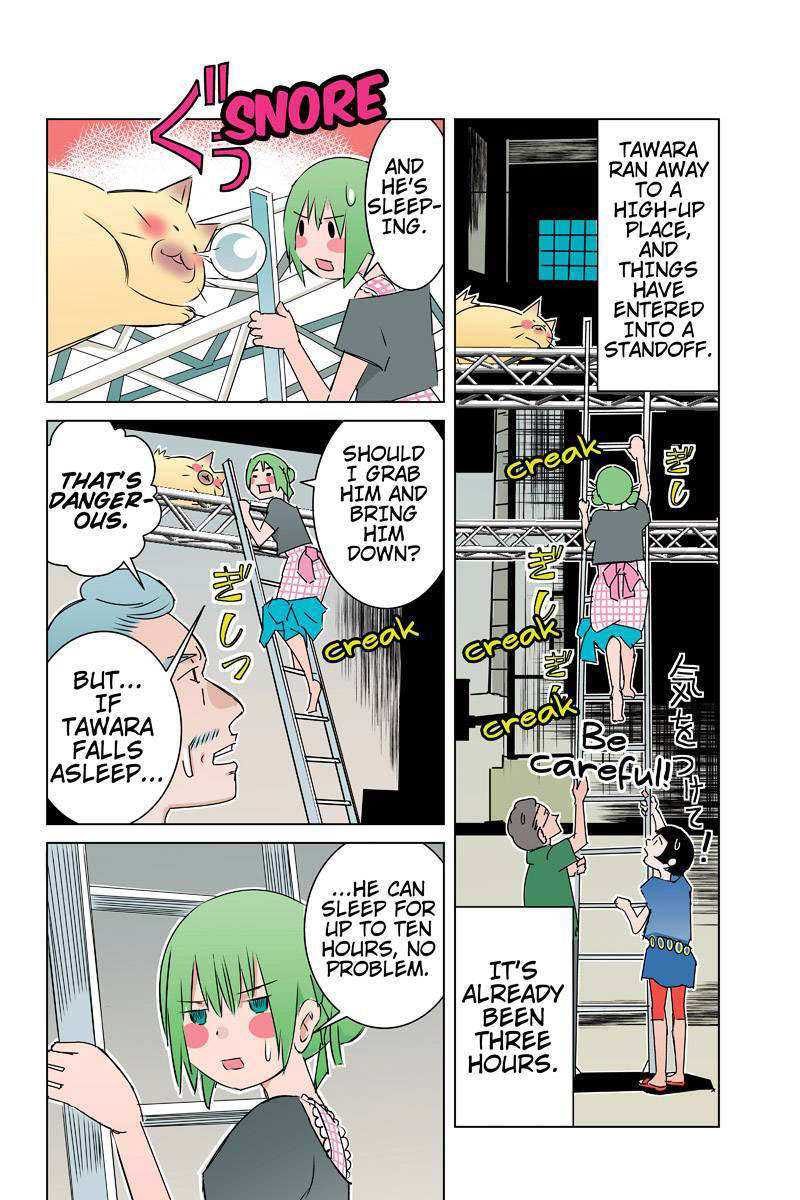 Tawara Neko to Machigai Jinsei Chapter 28 page 2 - Chapter 28: The CMO's Nice Catch