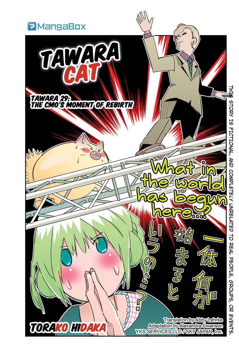 Tawara Neko to Machigai Jinsei Chapter 29 page 1 - Chapter 29: The CMO's Moment of Rebirth