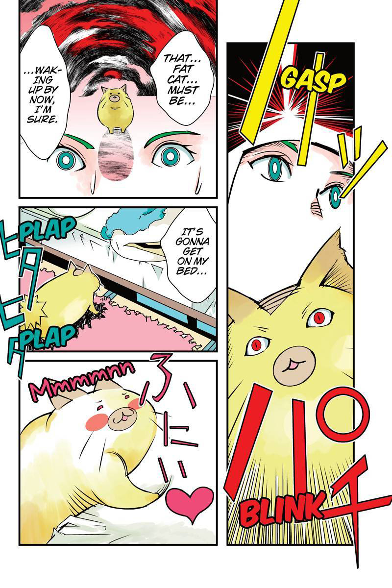 Tawara Neko to Machigai Jinsei Chapter 3 page 10 - Chapter 3: Kotori and the Stuffed Animal (1)