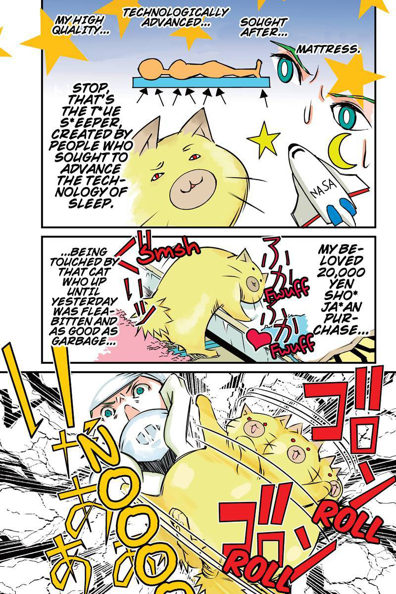 Tawara Neko to Machigai Jinsei Chapter 3 page 11 - Chapter 3: Kotori and the Stuffed Animal (1)