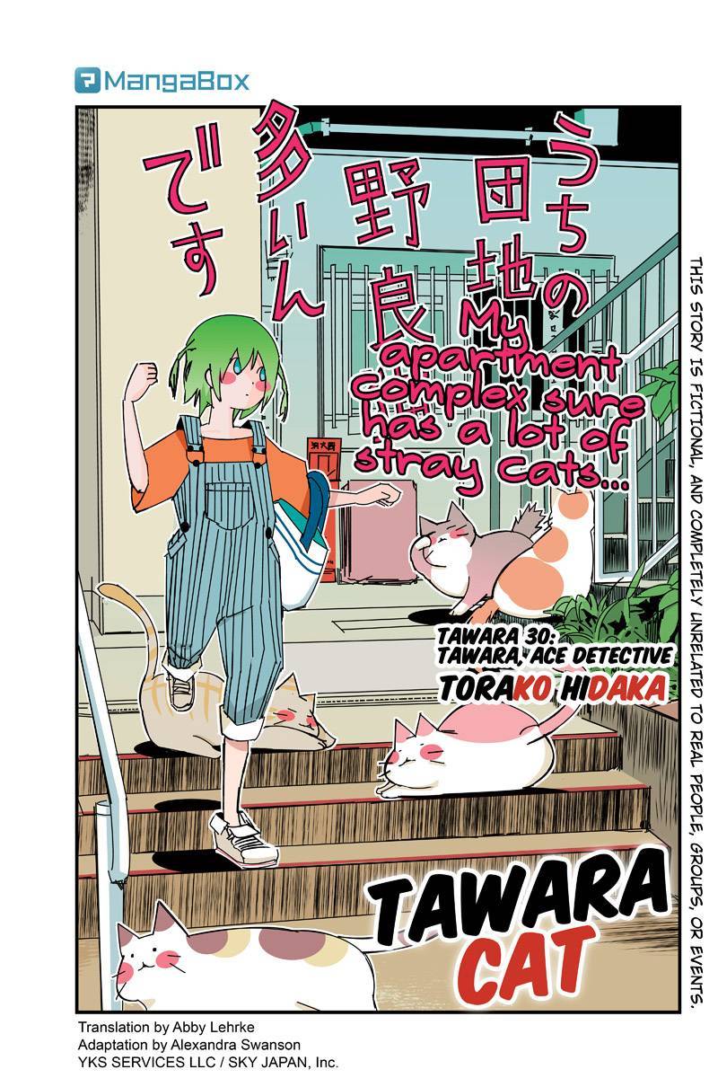 Tawara Neko to Machigai Jinsei Chapter 30 page 1 - Chapter 30