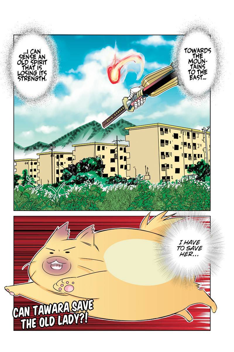 Tawara Neko to Machigai Jinsei Chapter 30 page 16 - Chapter 30