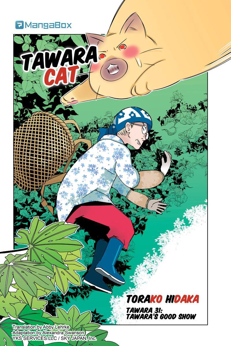 Tawara Neko to Machigai Jinsei Chapter 31 page 2 - Chapter 31