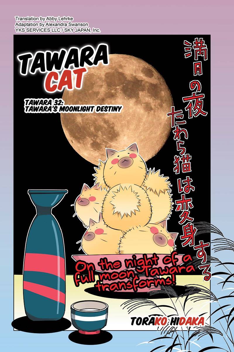 Tawara Neko to Machigai Jinsei Chapter 32 page 2 - Chapter 32