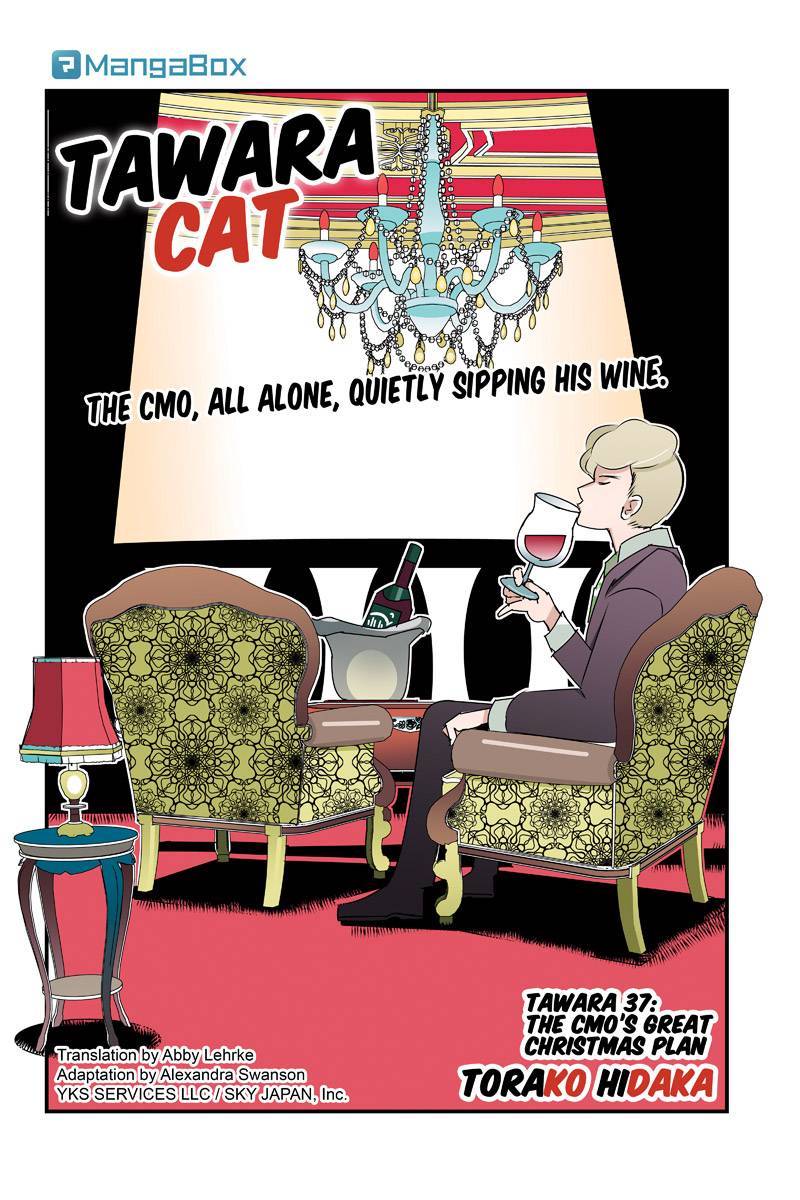 Tawara Neko to Machigai Jinsei Chapter 37 page 2 - Chapter 37: The CMO's Great Christmas Plan (1)