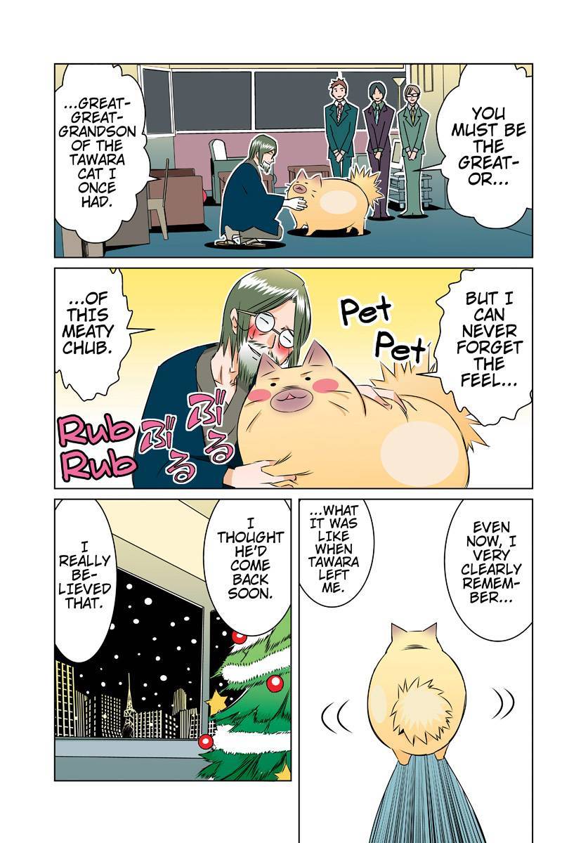 Tawara Neko to Machigai Jinsei Chapter 39 page 5 - Chapter 39: The CMO's Great Chtistmas Plan (3)