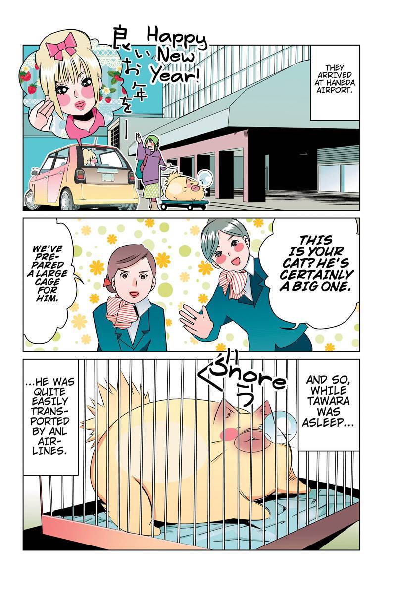 Tawara Neko to Machigai Jinsei Chapter 40 page 2 - Chapter 40: Kotori's Homecoming