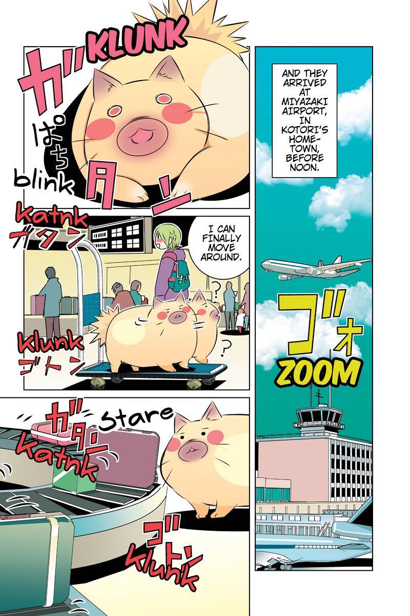 Tawara Neko to Machigai Jinsei Chapter 40 page 4 - Chapter 40: Kotori's Homecoming