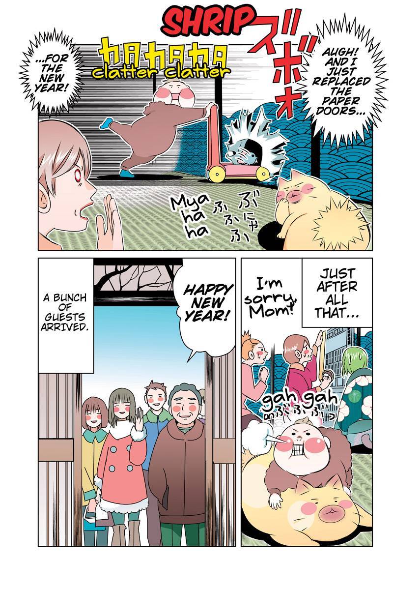Tawara Neko to Machigai Jinsei Chapter 41 page 3 - Chapter 41: Kotori's New Year