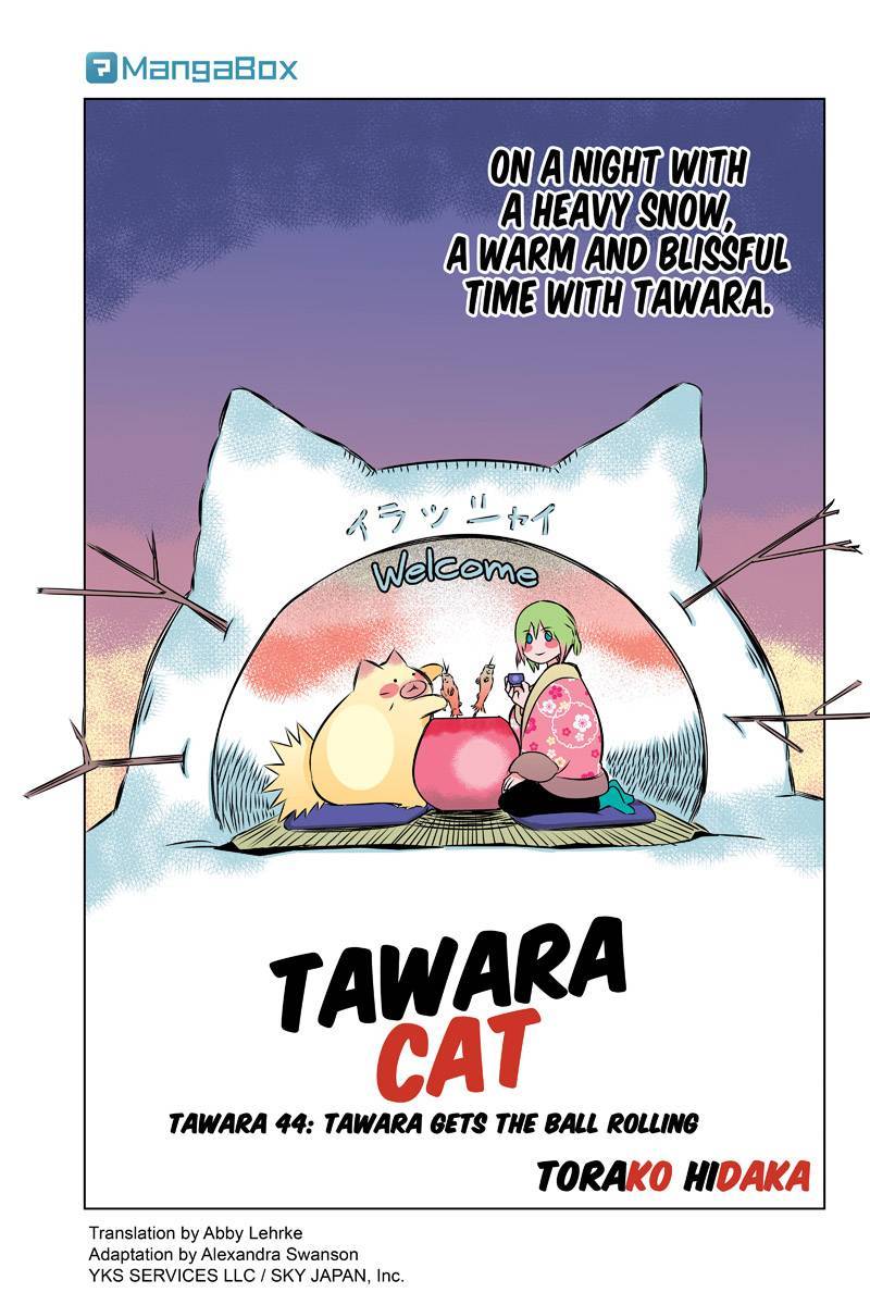 Tawara Neko to Machigai Jinsei Chapter 44 page 1 - Chapter 44: Tawara Gets the Ball Rolling