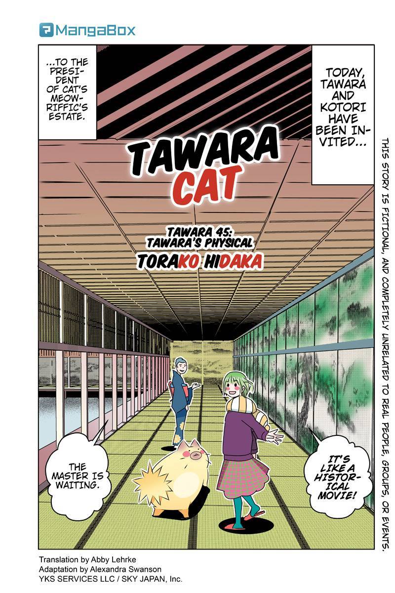 Tawara Neko to Machigai Jinsei Chapter 45 page 1 - Chapter 45: Tawara's Physical