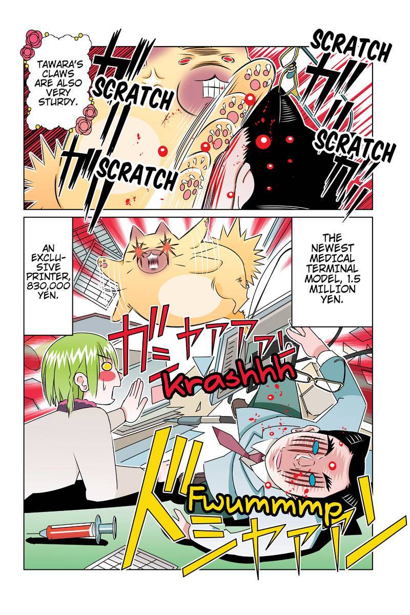 Tawara Neko to Machigai Jinsei Chapter 45 page 12 - Chapter 45: Tawara's Physical