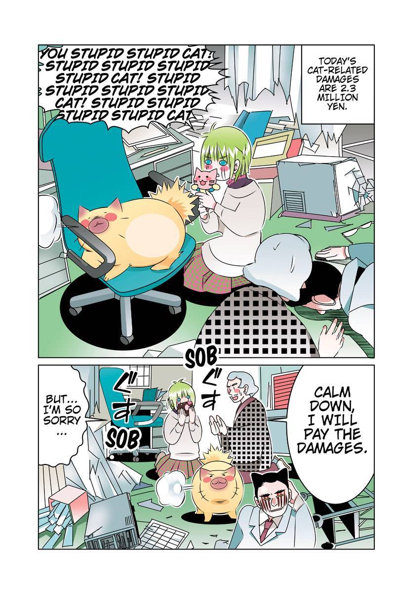 Tawara Neko to Machigai Jinsei Chapter 45 page 13 - Chapter 45: Tawara's Physical