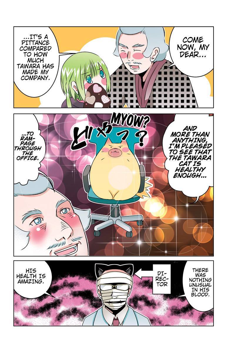 Tawara Neko to Machigai Jinsei Chapter 45 page 14 - Chapter 45: Tawara's Physical