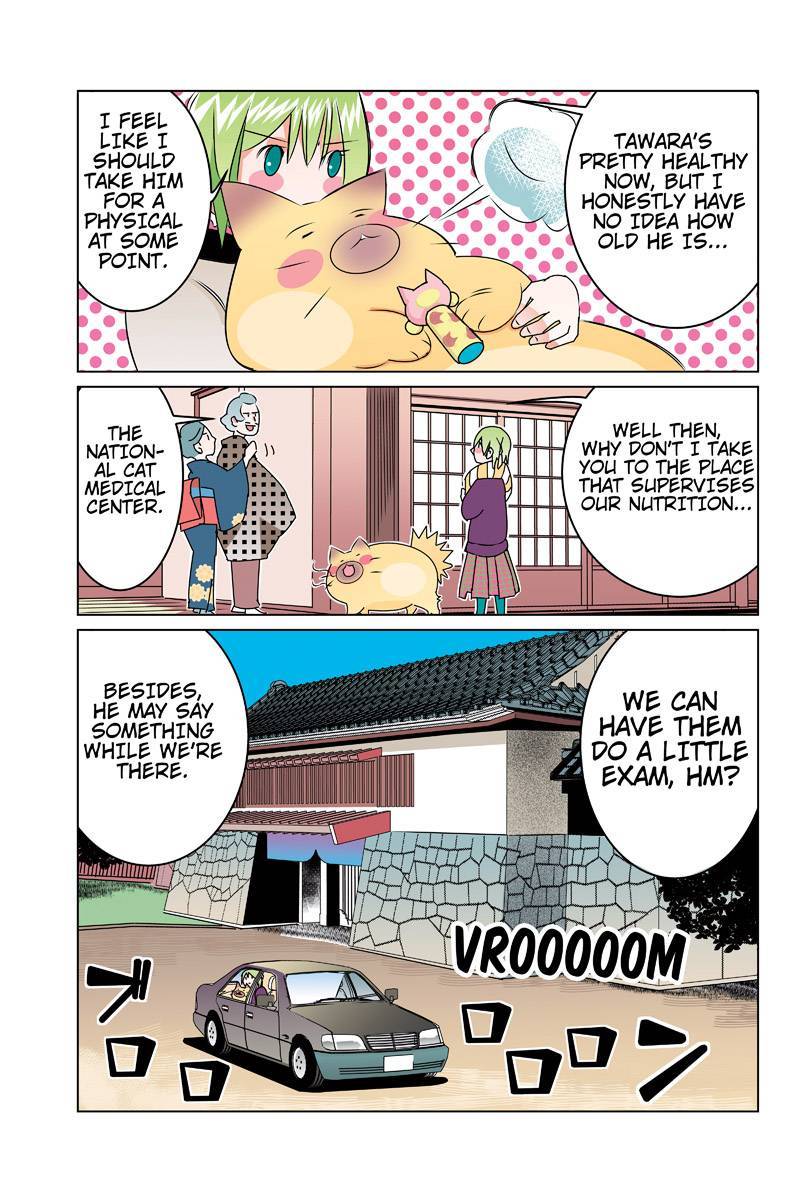 Tawara Neko to Machigai Jinsei Chapter 45 page 5 - Chapter 45: Tawara's Physical
