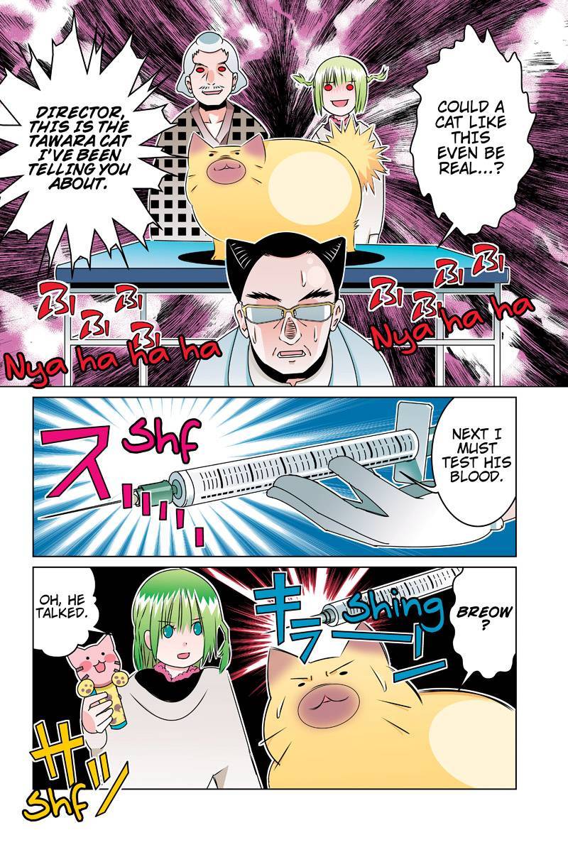 Tawara Neko to Machigai Jinsei Chapter 45 page 8 - Chapter 45: Tawara's Physical