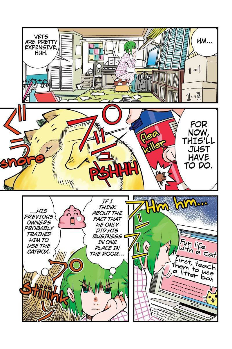 Tawara Neko to Machigai Jinsei Chapter 5 page 13 - Chapter 5: Kotori's Gamble