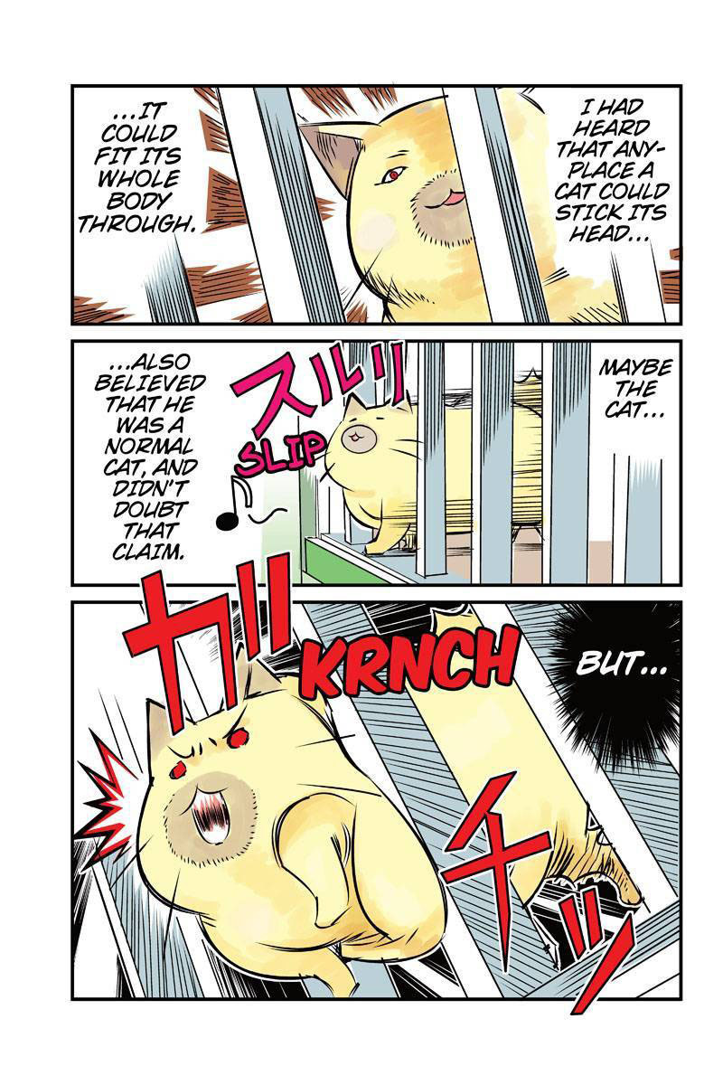 Tawara Neko to Machigai Jinsei Chapter 7 page 3 - Chapter 7: Kotori's Mercy