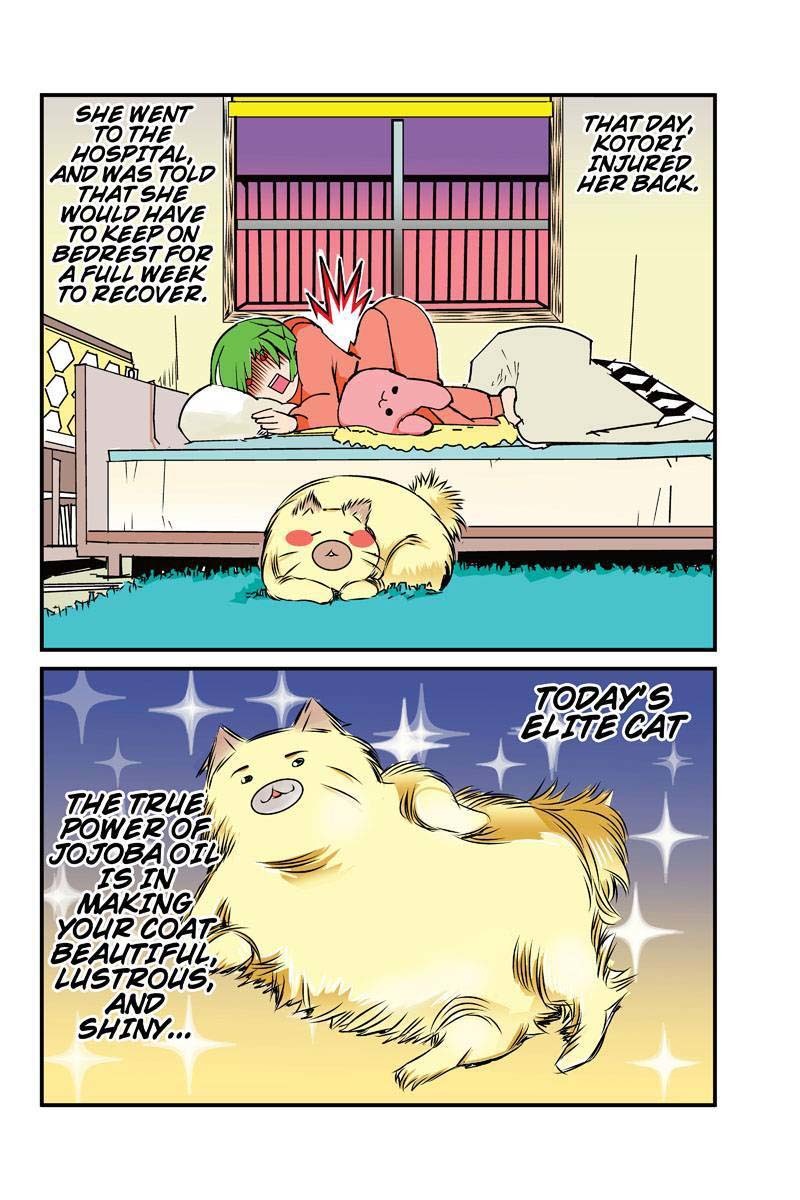 Tawara Neko to Machigai Jinsei Chapter 8 page 16 - Chapter 8: Kotori's Dramatic Rescue